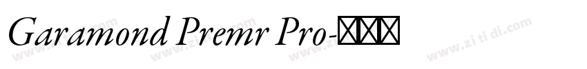 Garamond Premr Pro字体转换